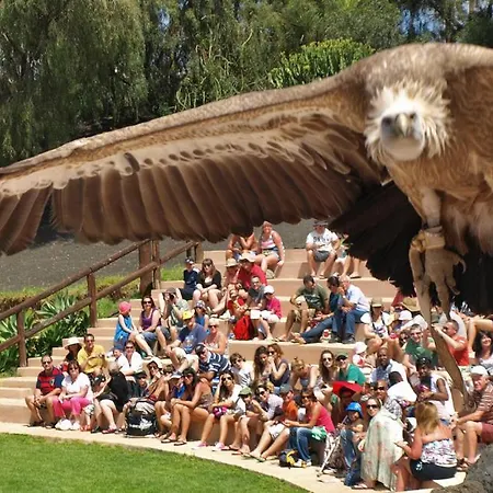 Βίλα Coco - Play Blanca - Lanzarote Πλάγια Μπλάνκα
