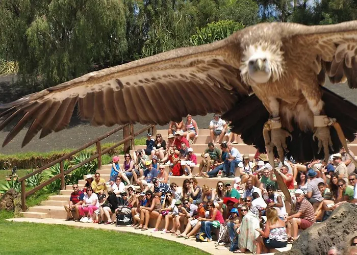 Villa Coco - Play Blanca - Lanzarote Playa Blanca (Lanzarote)